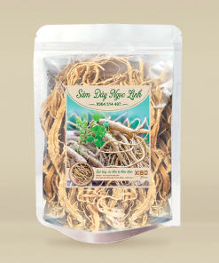 Sâm dây ngọc linh