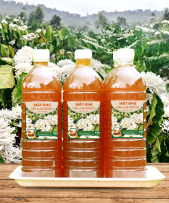 Mật ong hoa cà phê