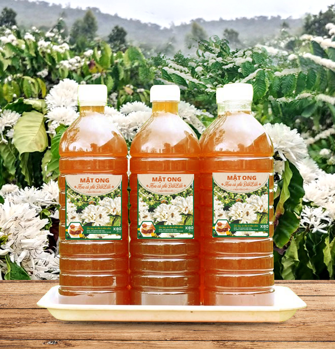 Mật ong hoa cà phê